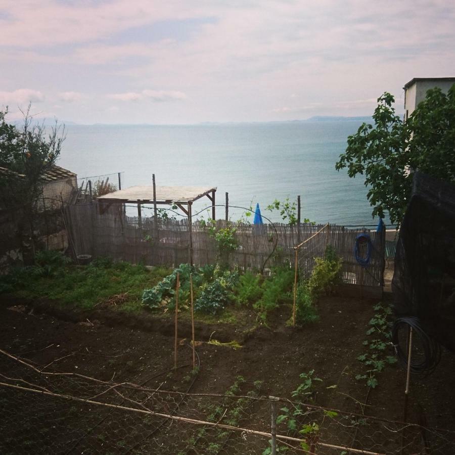 B&B Relax Meta Zewnętrze zdjęcie